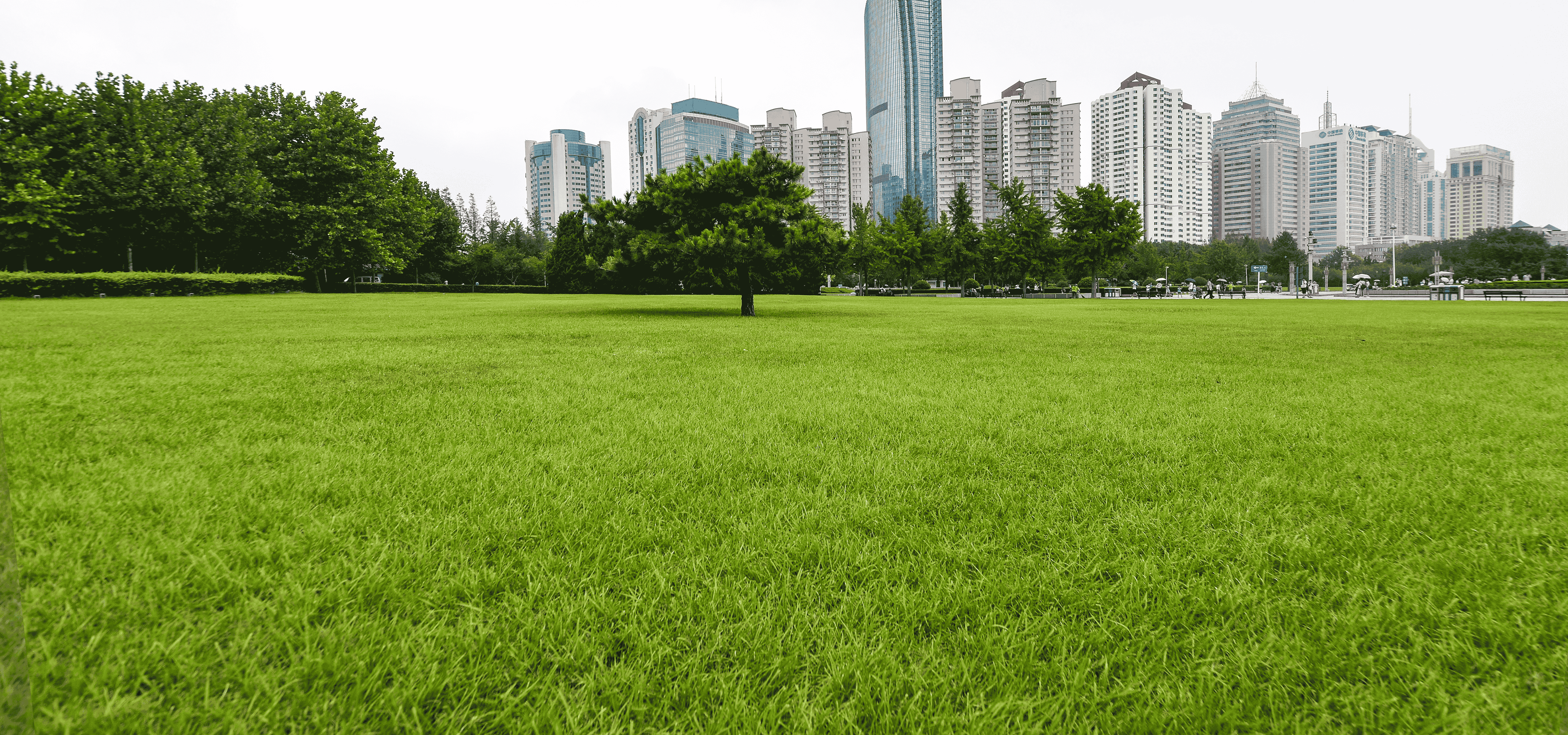Essential Checklist Before Buying a Villa Plot
