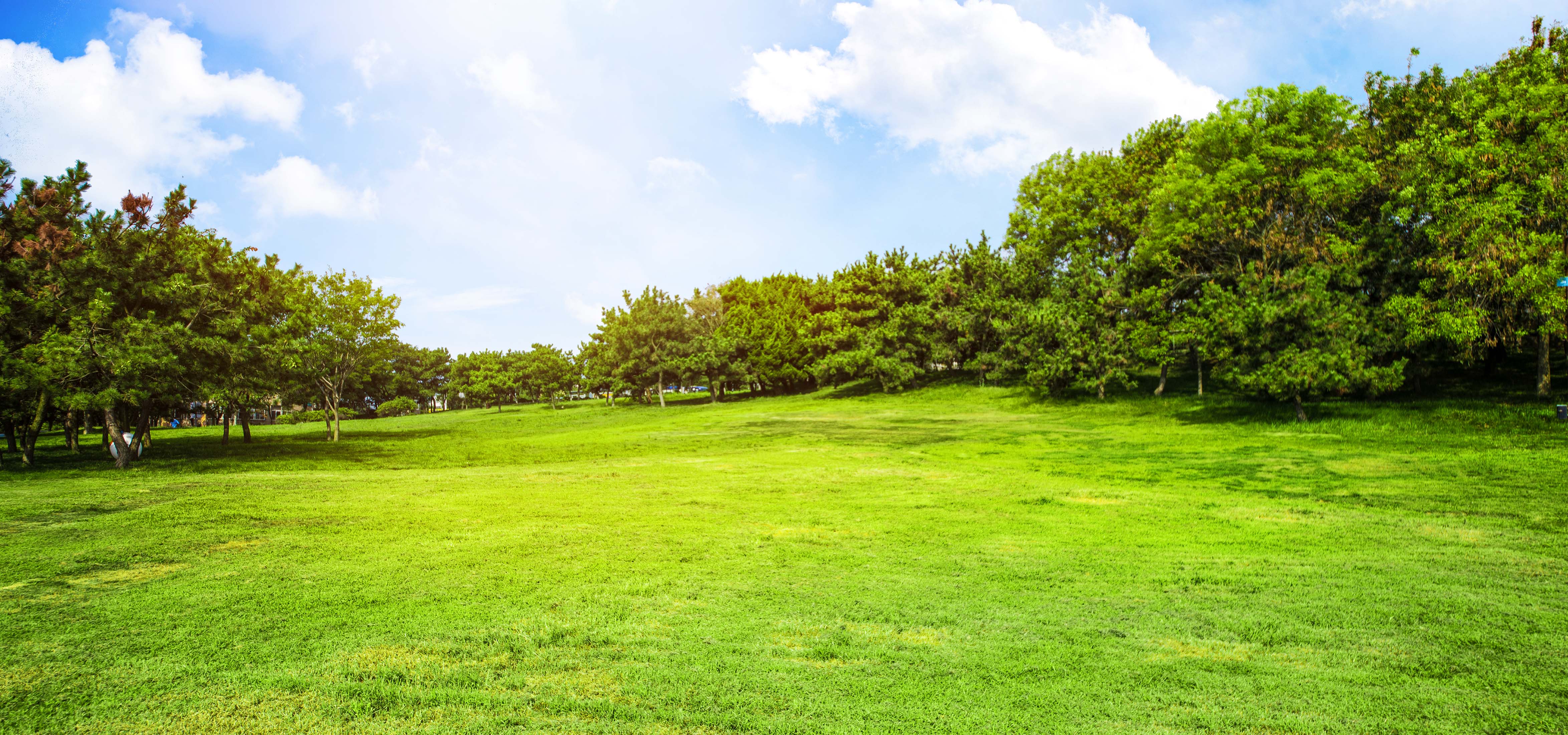 Essential Checklist for Buying Plots in Karnataka: What You Need to Know