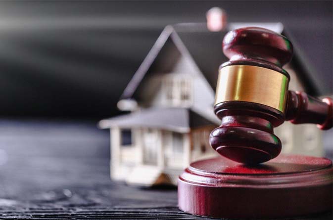 The Role of Government Policies and Regulations