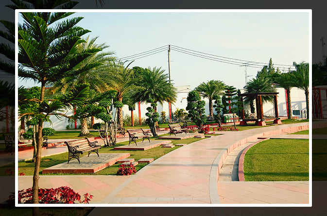 Benefits of Green Spaces and Parks