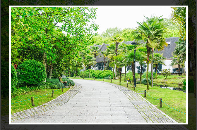 Key Design Elements for Effective Green Spaces