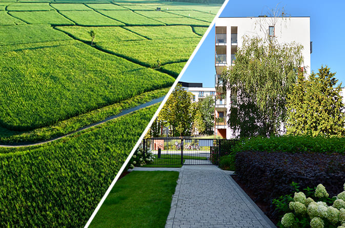 Apartments: Pros and Cons