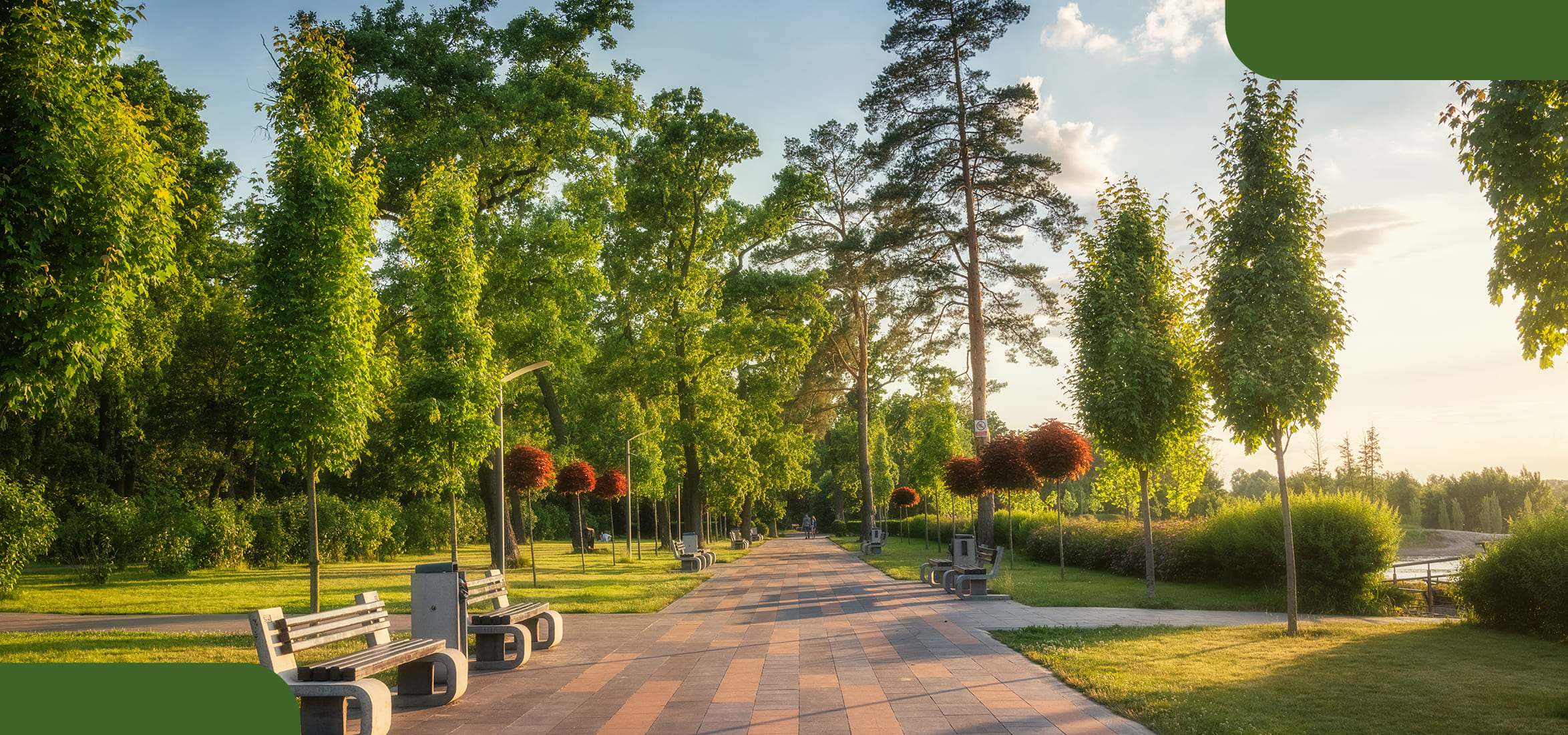 The Role of Green Spaces and Parks in Residential Communities