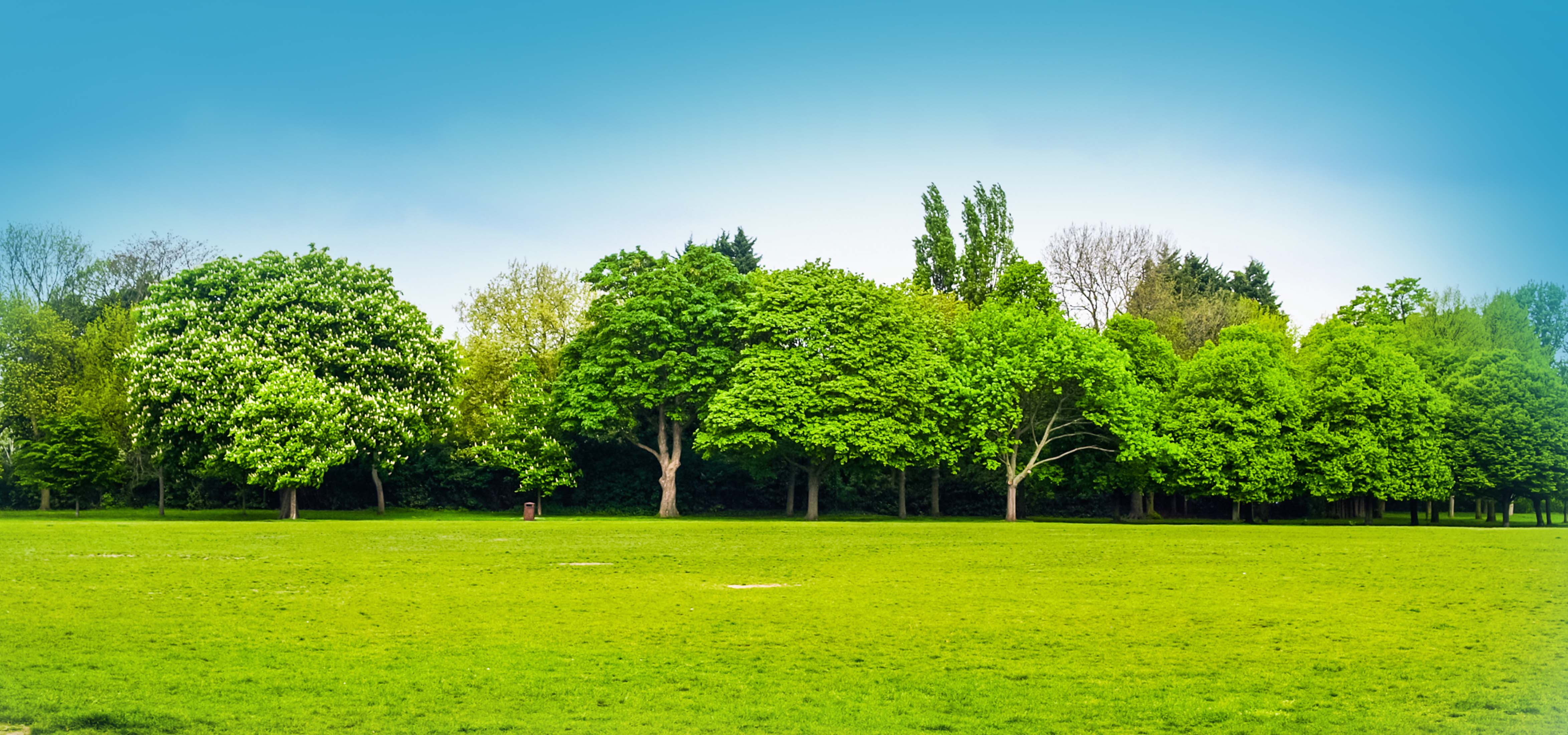 Top Reasons to Choose Villa Apartments at Temple Bells